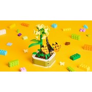 Creativity Workshop: Botanicals