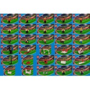 Japanese Coca-Cola Soccer collection sets 4443 thru 4472