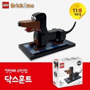 Dachshund