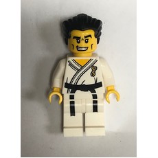 Karate Master (fig-000905)