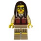Librarian