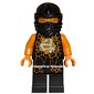 Cole in Airjitzu Outfit (Possession)
