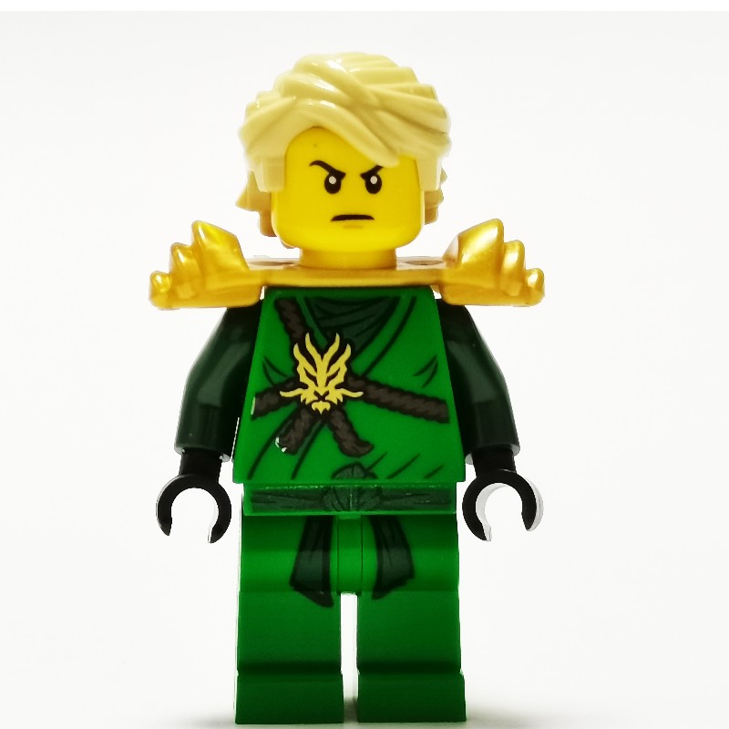 LEGO Set fig-001654 Lloyd in Honor Robes and Hair (Day of the Departed ...