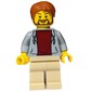 Light Bluish Grey Torso, Tan Legs, Reddish Brown Hair