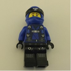 Jay (Hunted) (fig-001790)