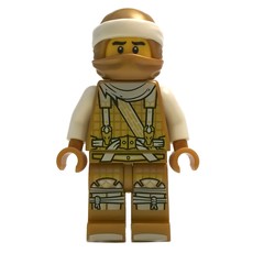 Master Wu / Golden Dragon Master (Hunted) (fig-001795)