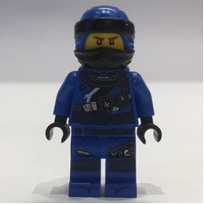 Jay (Hunted) (fig-001979)