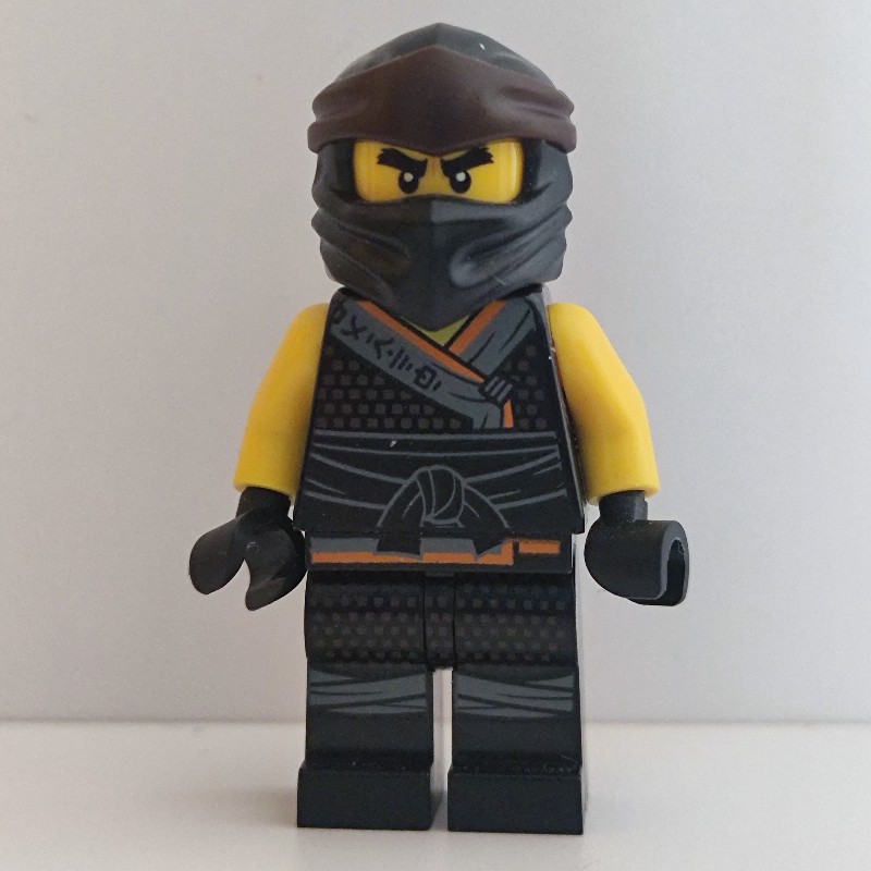 LEGO Set fig-002068 Cole in Sons of Garmadon Robe (Legacy ...