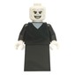 Voldemort, Black Robe