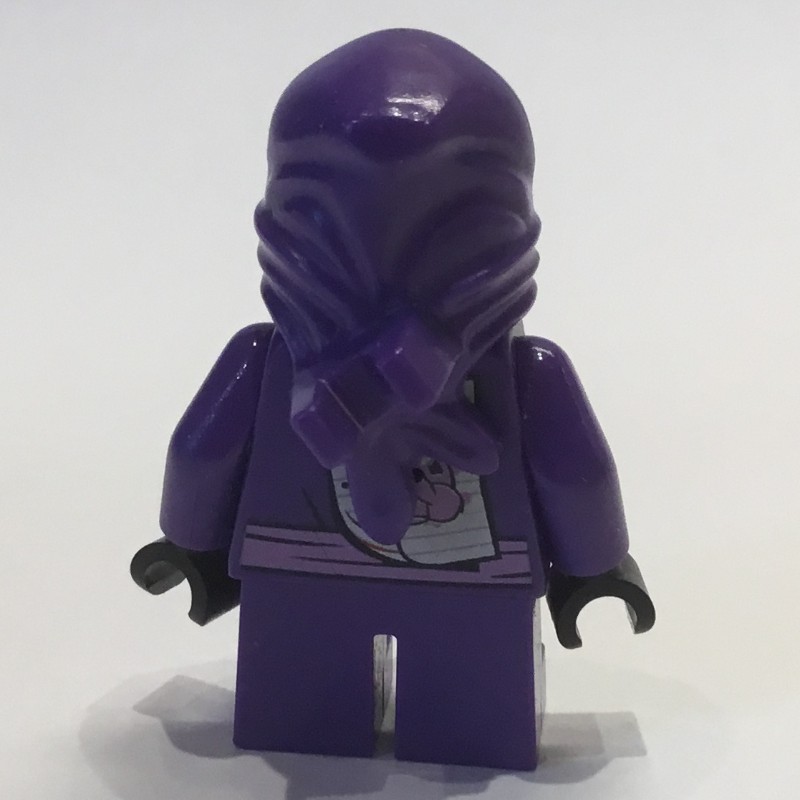 Lego ninjago lil online nelson