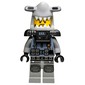 Hammer Head with Black Beard