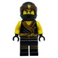 Cole (LEGO Ninjago Movie)