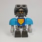 Pilot Bot