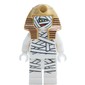 Mummy / Dr. Najib