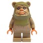 Ewok Warrior