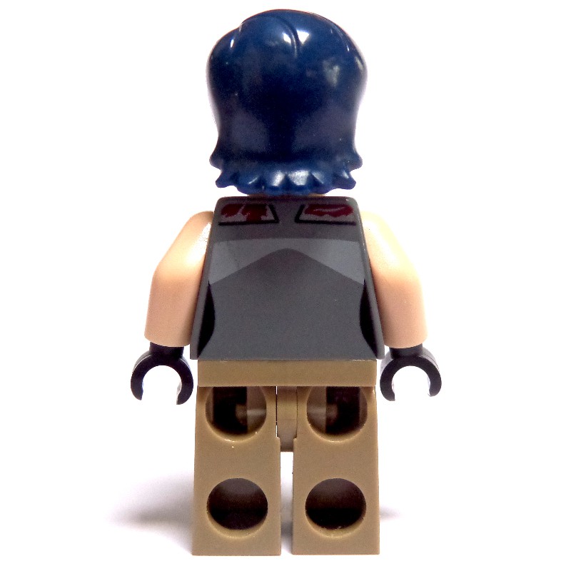 Bricklink discount sabine wren