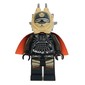 Enfys Nest