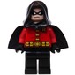 Robin with Black Hood and Cape
