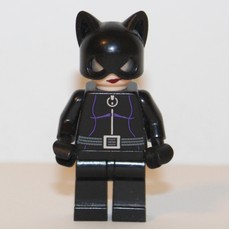 Catwoman in Black Outfit (fig-004984)