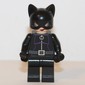 Catwoman in Black Outfit