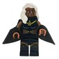 Storm