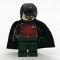Robin with Dark Green Hands and Legs