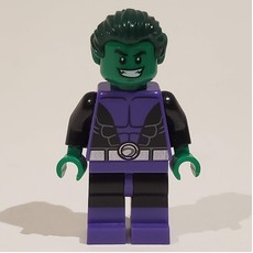 Beast Boy (fig-005076)