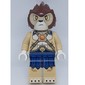 Lion Warrior