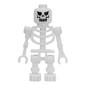 Skeleton, Evil Face, Straight Mechanical Arms