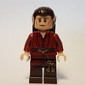 Mirkwood Elf Chief