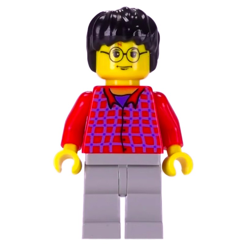 Lego Set Fig-006063 Harry Potter, Yellow Skin, Red Shirt 