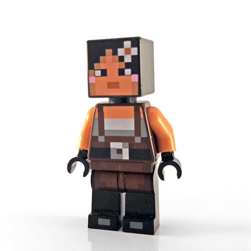 lego set fig 006535 minecraft skin