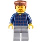 Man, Dark Blue Plaid Shirt, Light Bluish Gray Legs, Reddish Brown Hair, Moustache