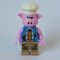 Pigsy