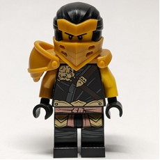 Cole / Hero Cole (fig-009067)