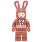 Chocolate Bunny