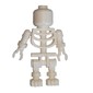 Skeleton, Plain Head