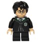 Harry Potter / Gregory Goyle, Slytherin Robes