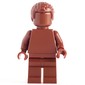 Monochrome Reddish Brown with Hair