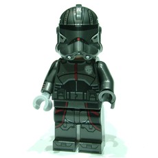 Echo (fig-011622)