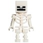 Skeleton, Square Skull (78132 Torso)
