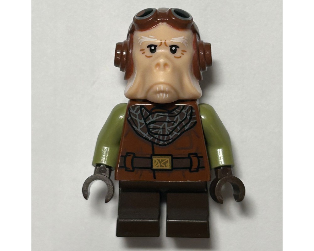 Kuiil best sale lego minifigure