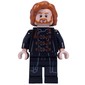 Ron Weasley, Polyjuice Dragomir Despard Disguise