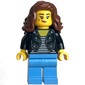 Black Torso, Medium Blue Legs, Reddish Brown Hair