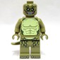 The Lizard