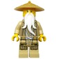 Master Wu, Dark Tan Robe