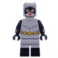 Catwoman, Light Bluish Grey Suit