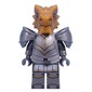 Dragonborn Paladin