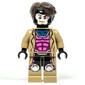 Gambit
