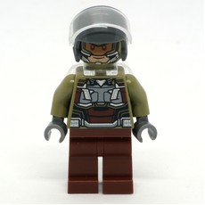 Falcon, Joaquín Torres (fig-015683)